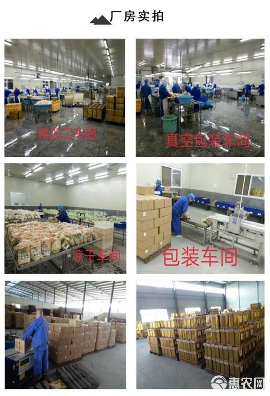 廠家直銷清水冬筍口感脆嫩散裝清汁筍割